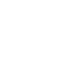 Bicho Mimado